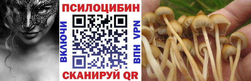 Псилоцибиновые грибы мухоморы  хочу наркоту  Мичуринск 
